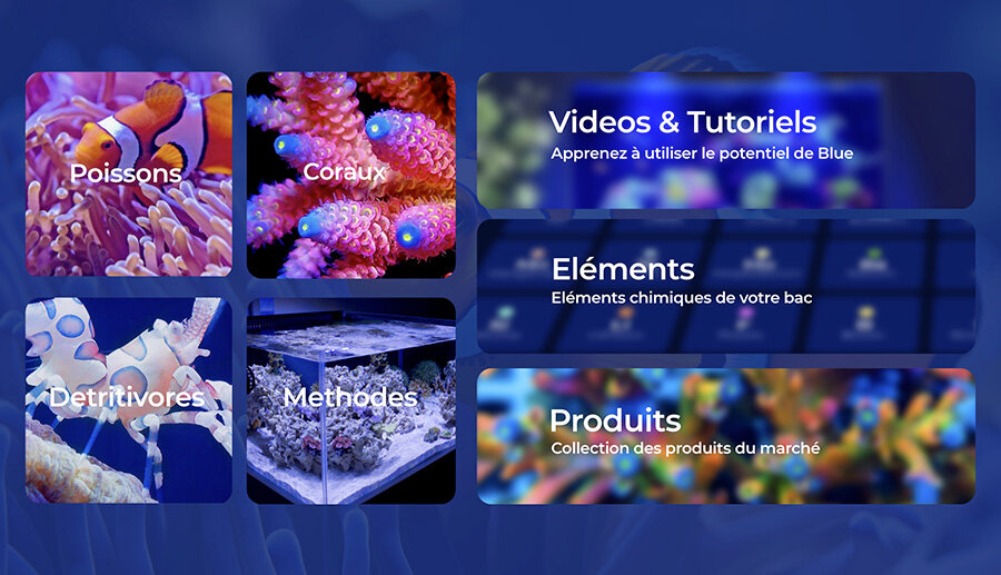 Découvrez, apprenez avec notre collection