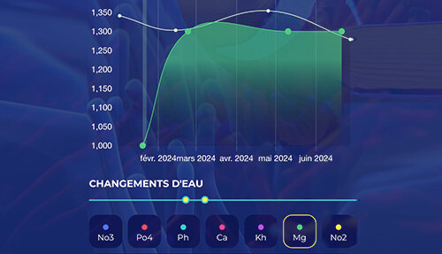 Analysez l'évolution